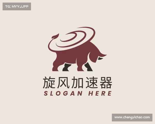 了解旋风加速器